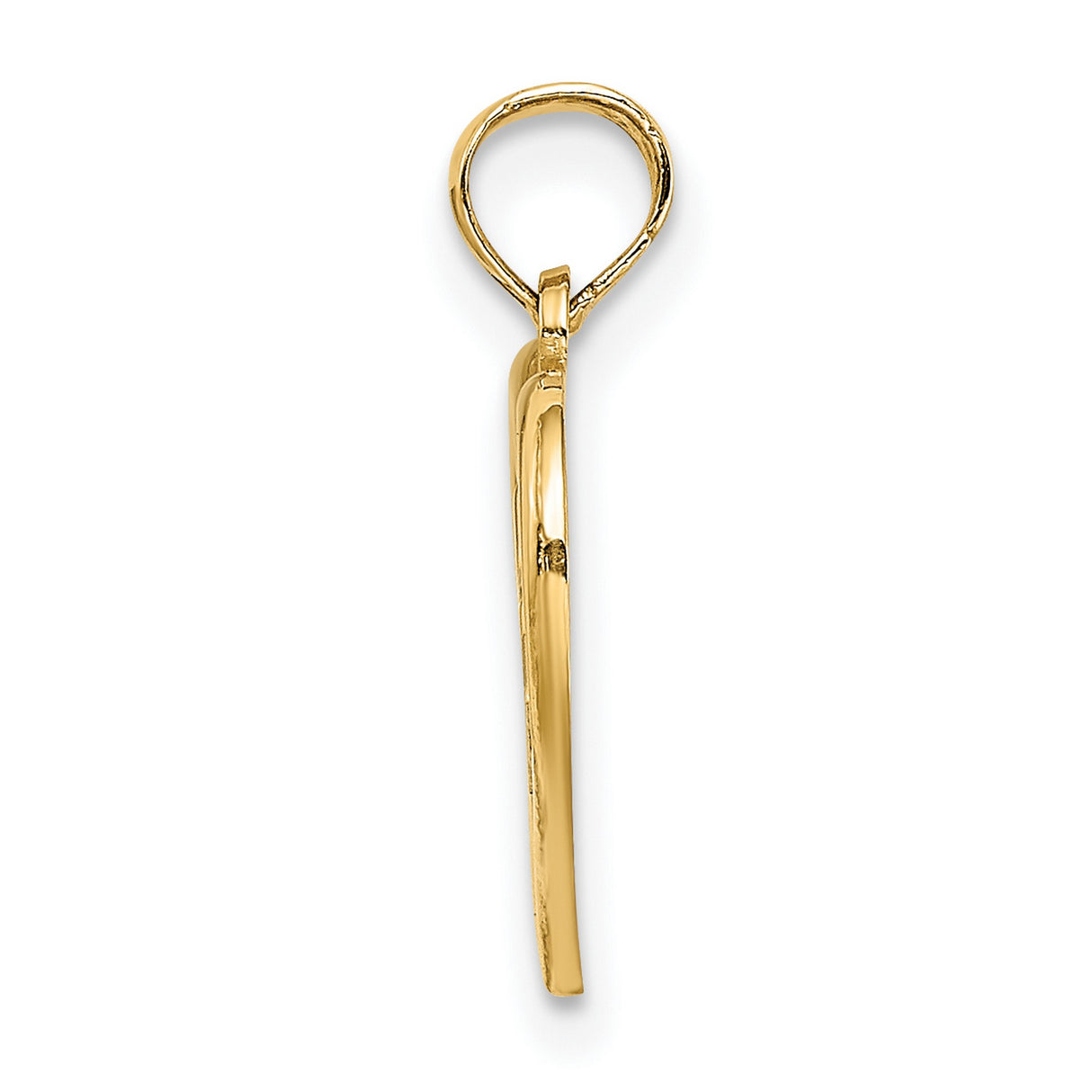 14k Yellow Gold and Rhodium RN Heart Pendant, Registered Nurse Symbol Charm