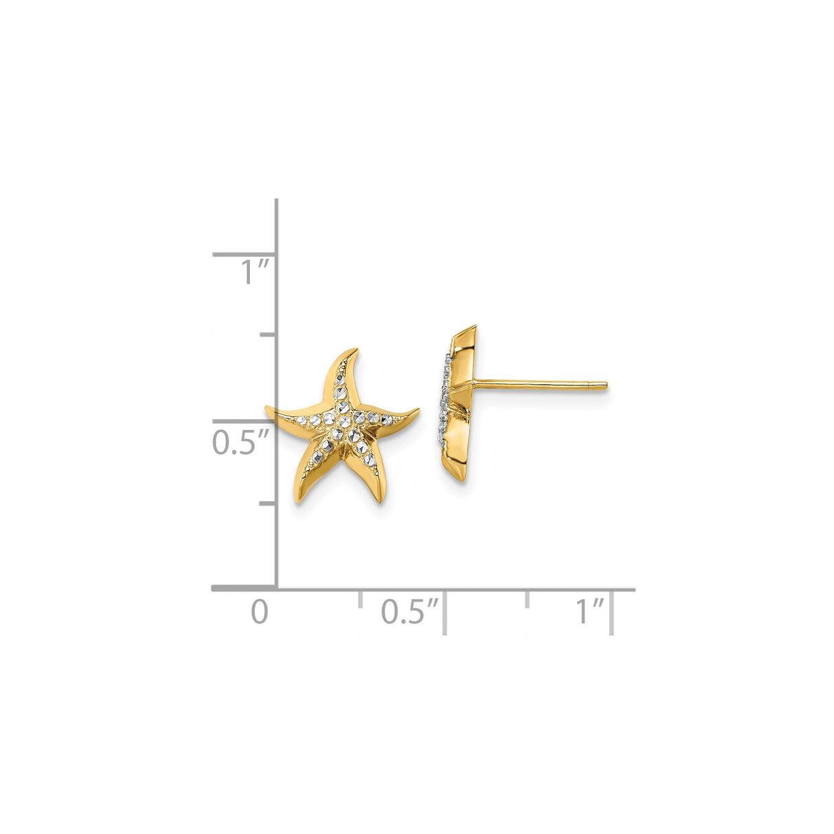 14k Yellow Gold Starfish Stud Earrings with Rhodium and Diamond Cut Detailing, Nautical Theme