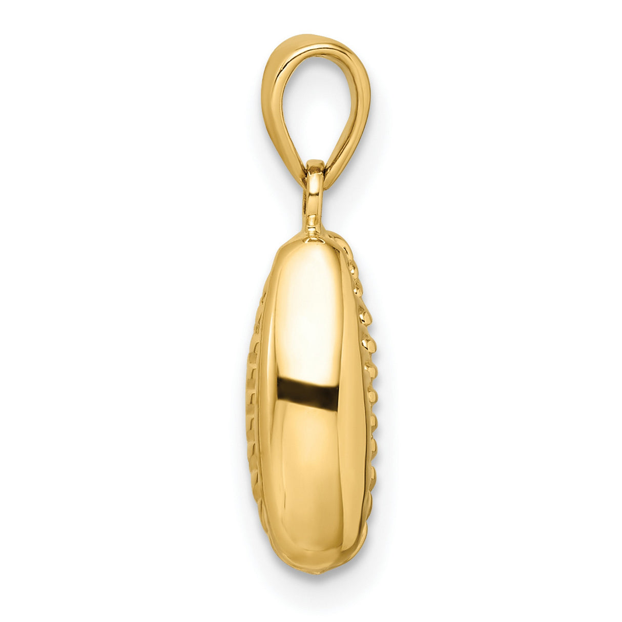 14k Yellow Gold Cowrie Shell Pendant, African Tribal Beach Charm for Women