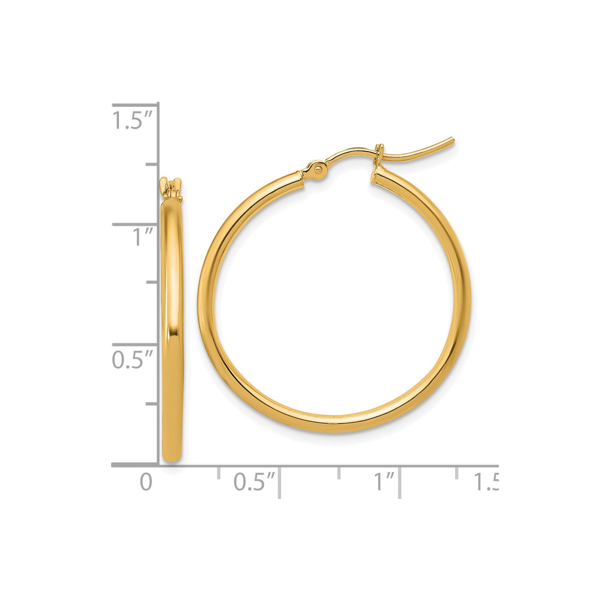 14k Yellow Gold Hoop Earrings, Medium Round Polished Hoops with High Shine Finish for Women