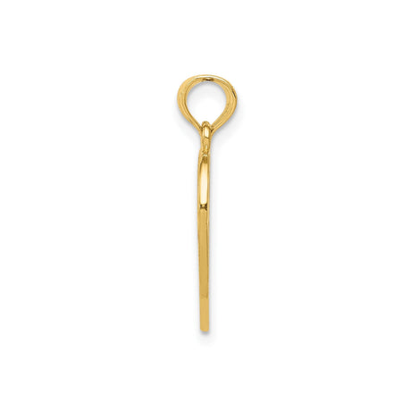 14k Yellow Gold Heart Split Pendant with Mother Daughter Design and Enamel Roses