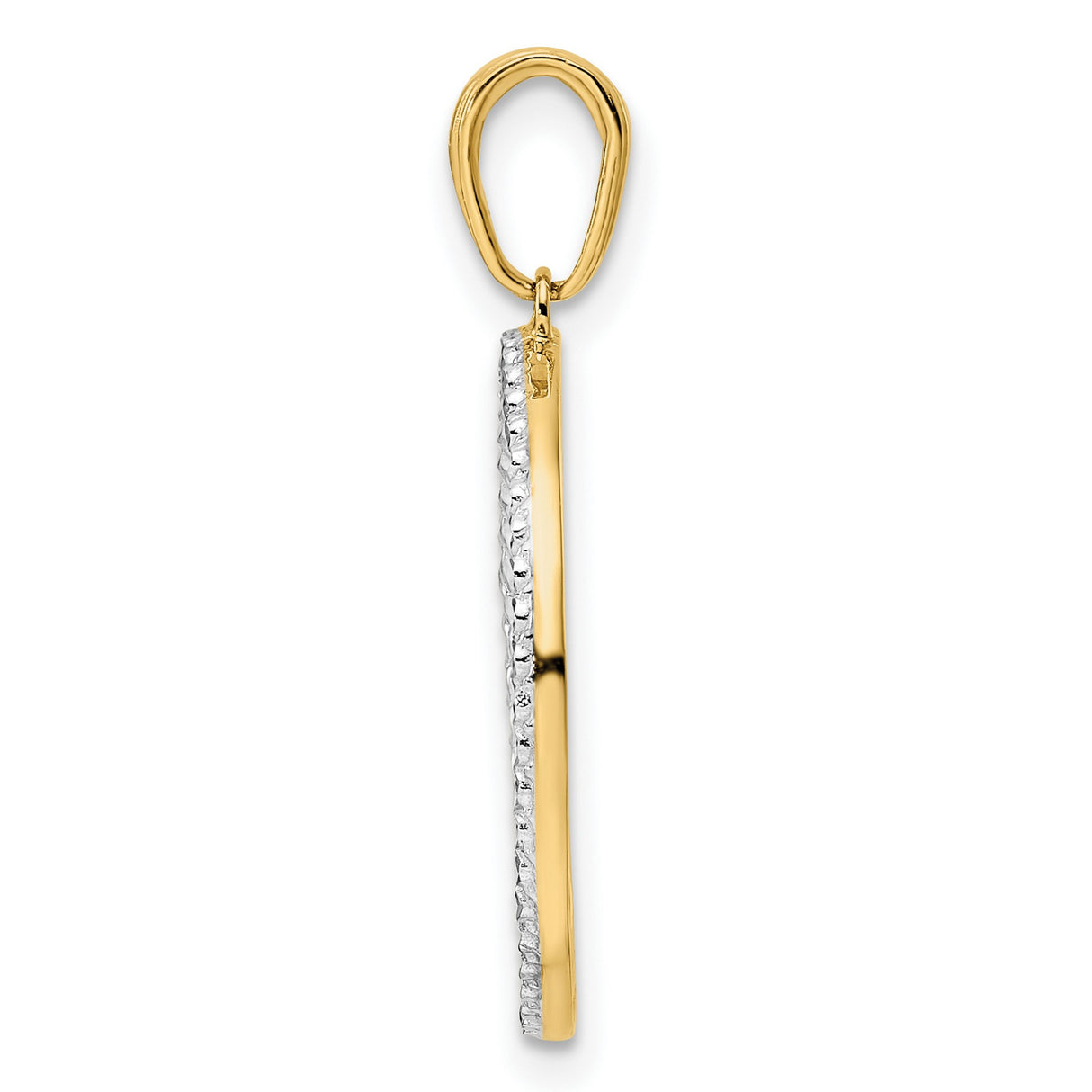 14k Multi-Tone Gold Cat Pendant with Rhodium Accent in Round Frame