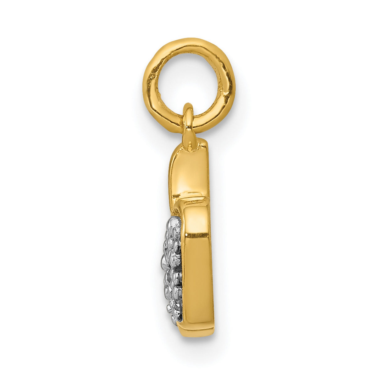 14k Yellow Gold Apple Shape Pendant with Diamond Cut Accents, Symbolic Charm for Women