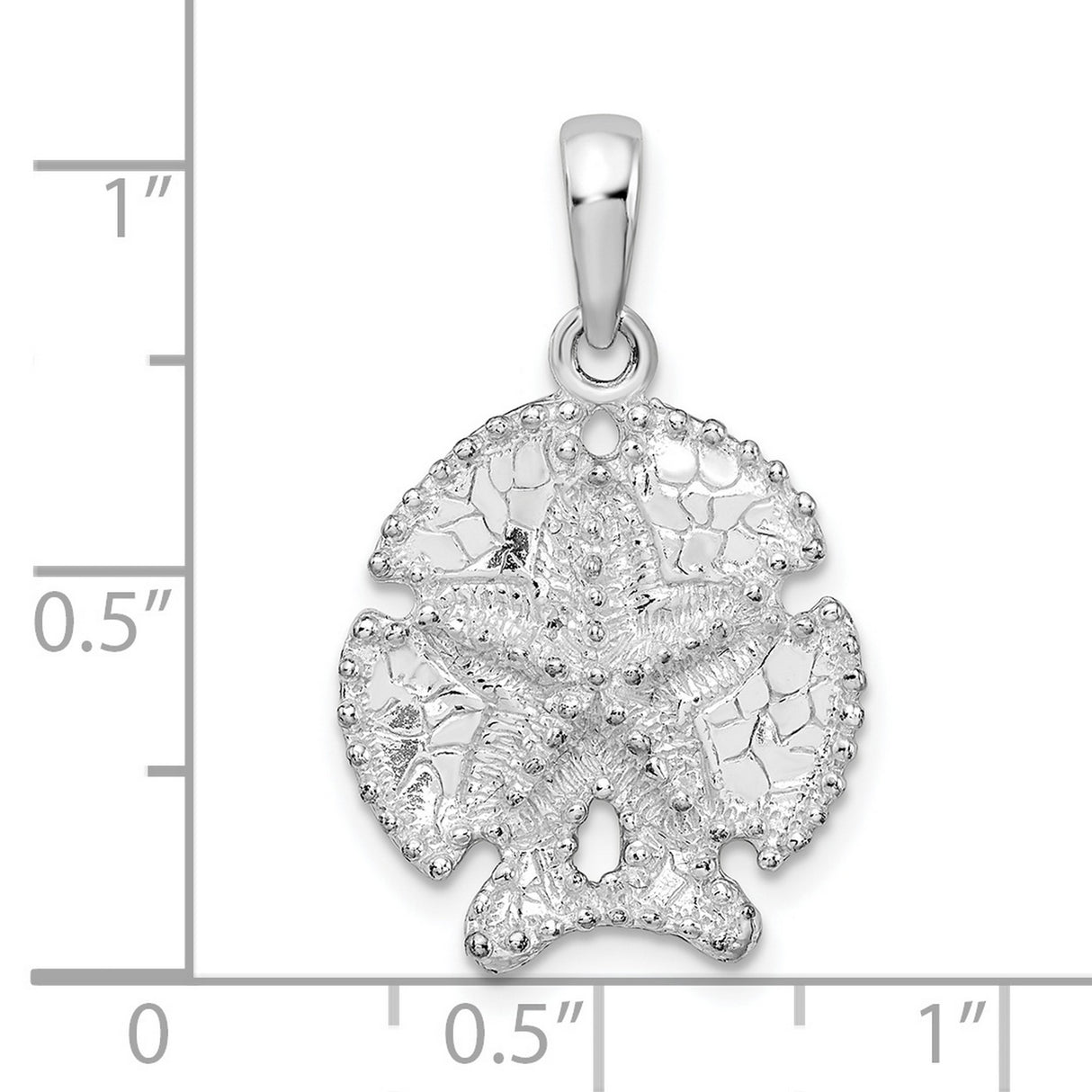 Sterling Silver Sand Dollar Pendant with Star Motif and Textured Coastal Design