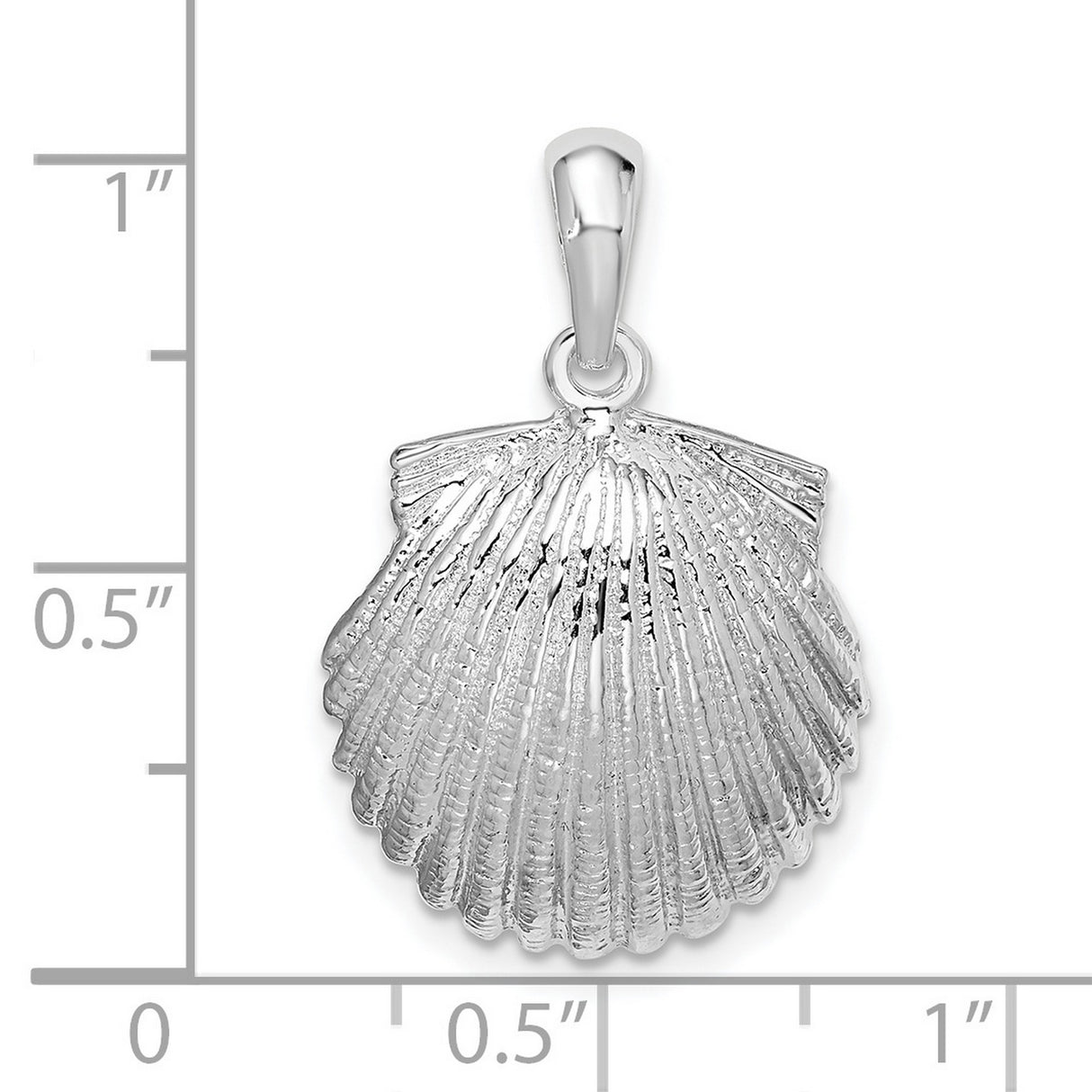 Polished Scallop Shell Charm Pendant in Real 925 Sterling Silver