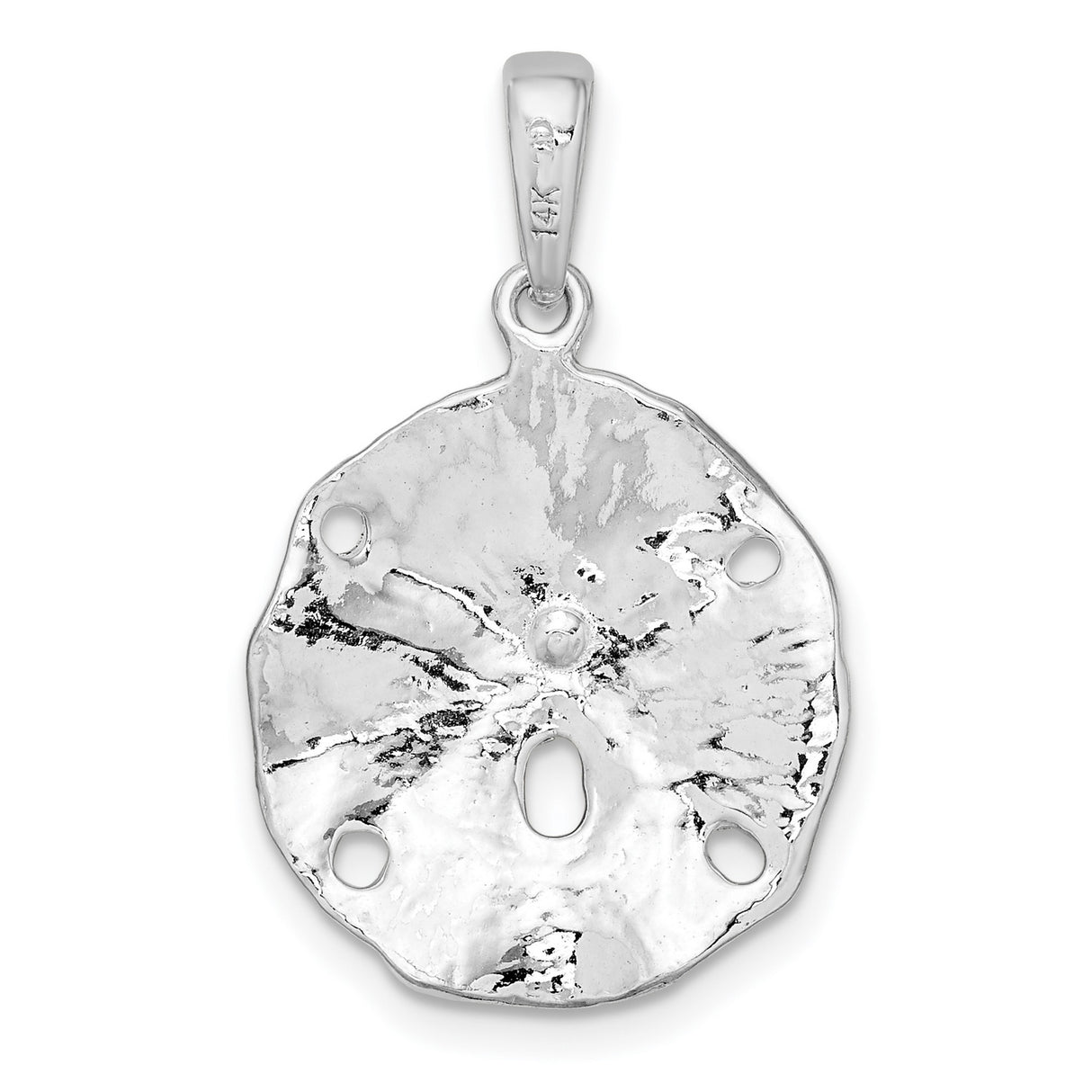 Textured Sand Dollar with Accent Charm Pendant in Real 925 Sterling Silver