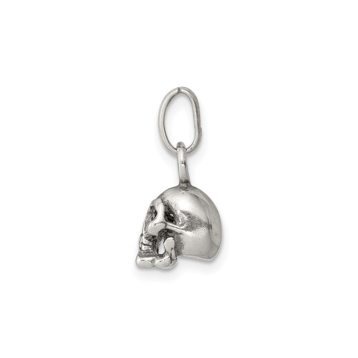 Sterling Silver Skull Pendant, Detailed Skeleton Head Gothic Jewelry for Men or Unisex Wear