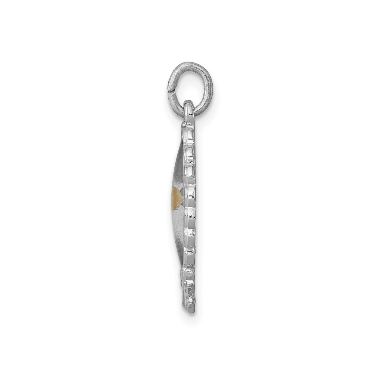 Sterling Silver Mustard Seed Ichthys Fish Pendant, Christian Faith Jewelry for Men or Women