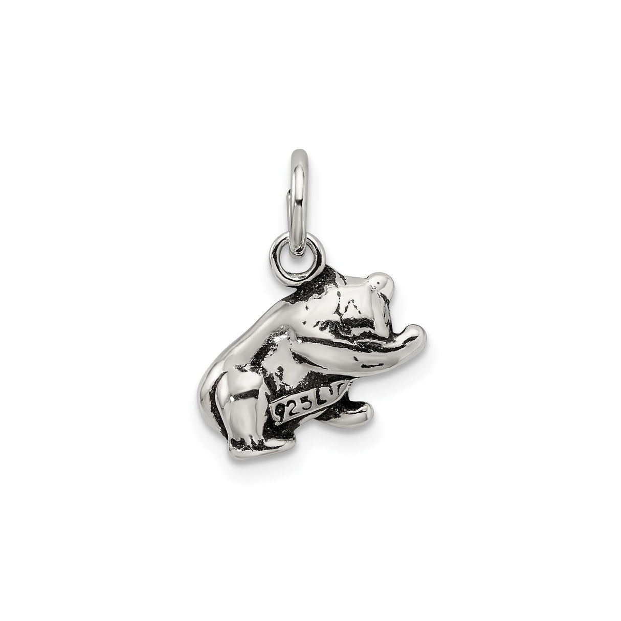 Sterling Silver Panda Charm Pendant, Detailed Sitting Bear, Nature Theme for Women or Unisex