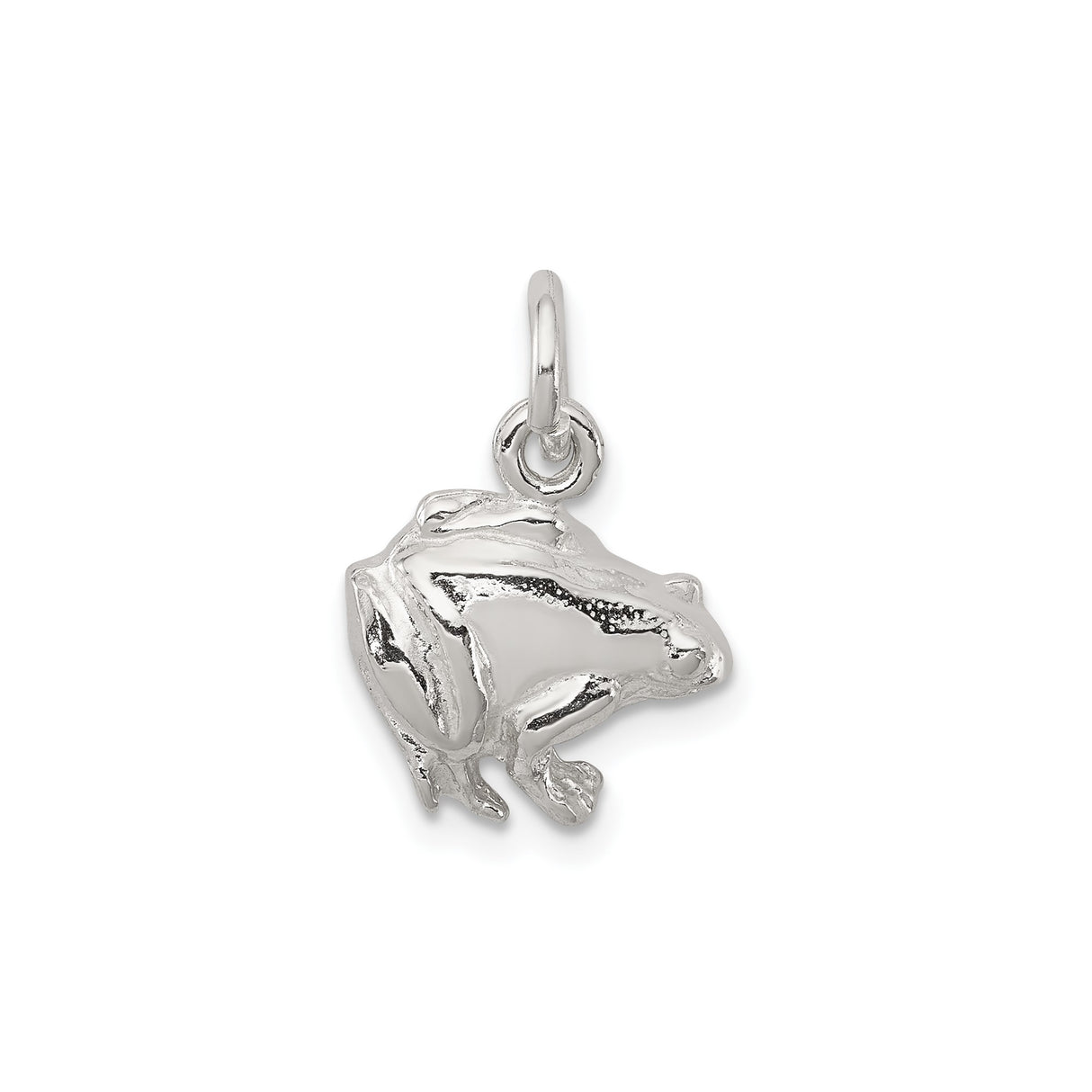 Sterling Silver Frog Pendant with Detailed Animal Totem Design, Symbol of Transformation and Good Luck