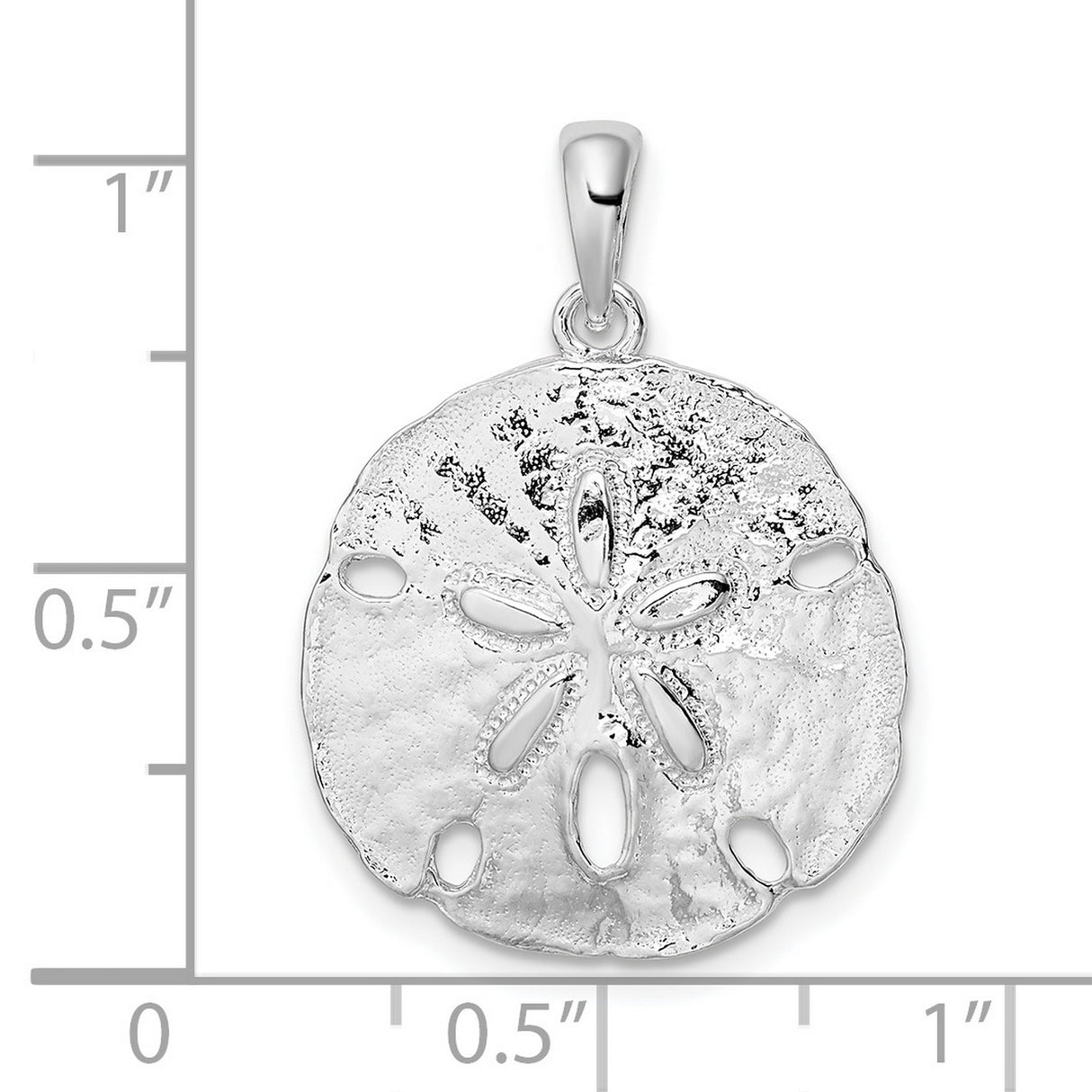 Polished Large Sand Dollar Charm Pendant in Real 925 Sterling Silver