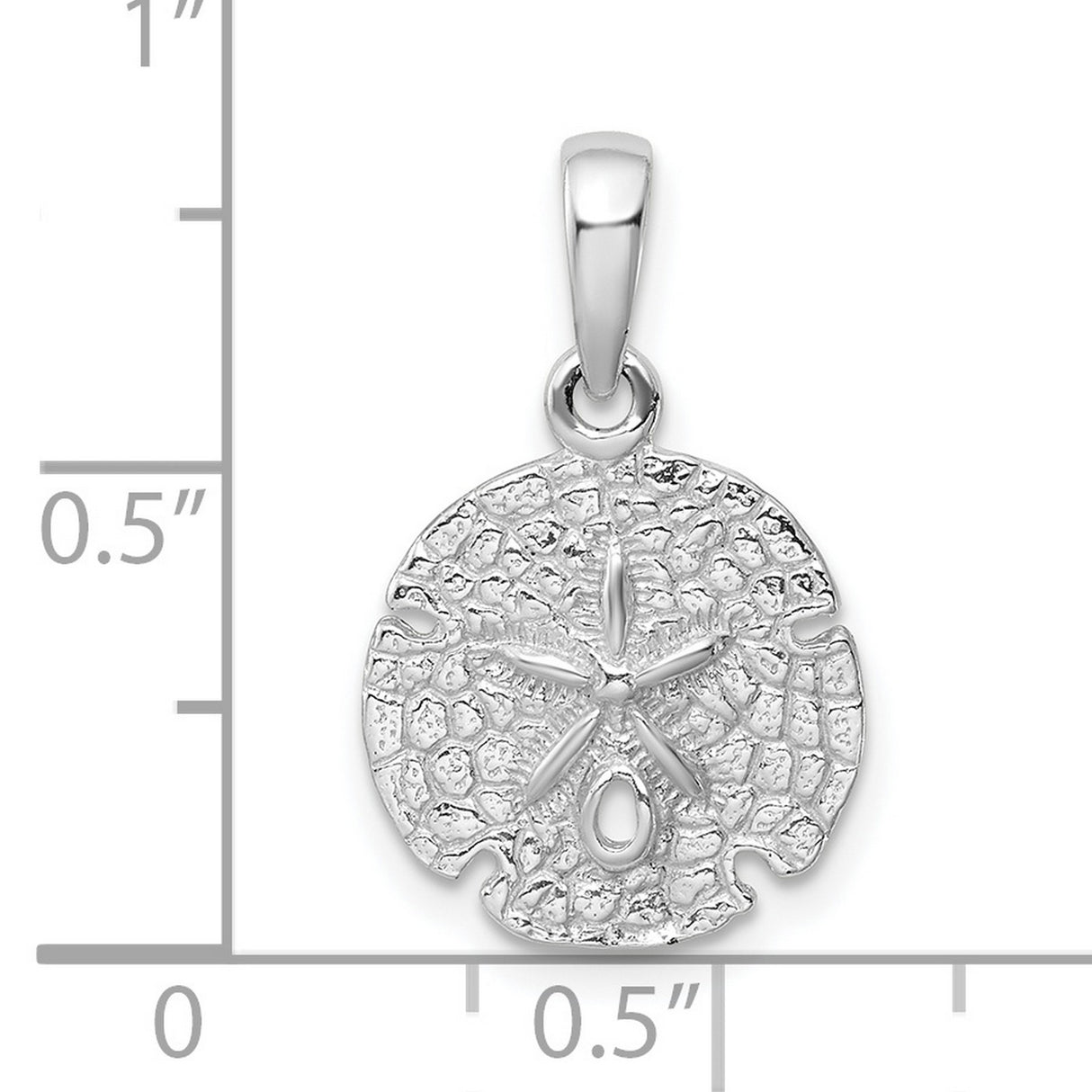 Sterling Silver Sand Dollar Pendant with Detailed Ocean Design, Coastal Sea Life Charm for Women