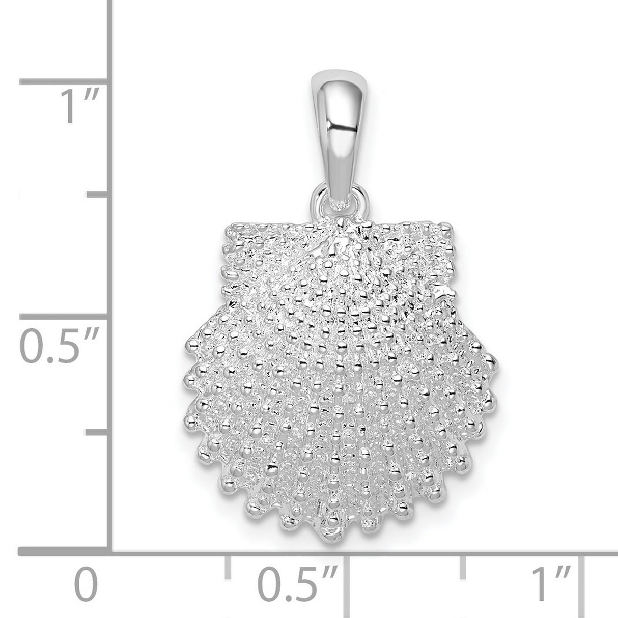 Polished Beaded Scallop Shell Charm Pendant in Real 925 Sterling Silver