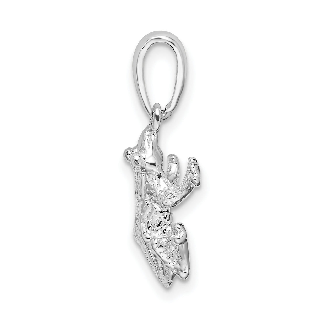 Sterling Silver Frog Pendant with Textured Detailing, Nature Totem Jewelry for Renewal and Luck