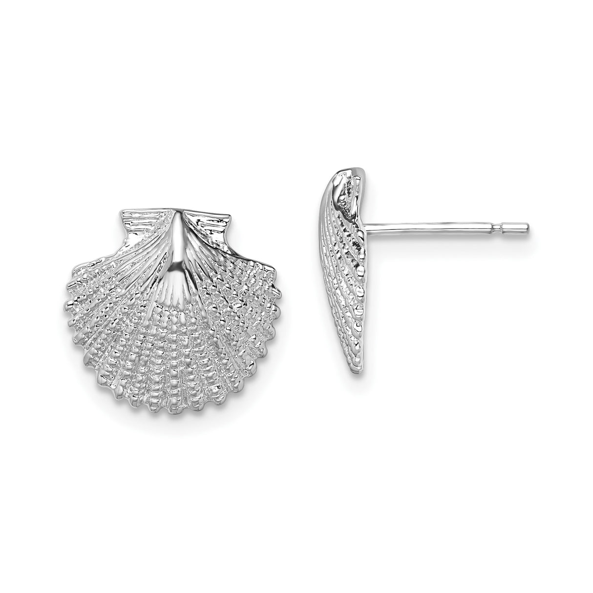 Sterling Silver Scallop Shell Stud Earrings, Nautical Coastal Design for Women