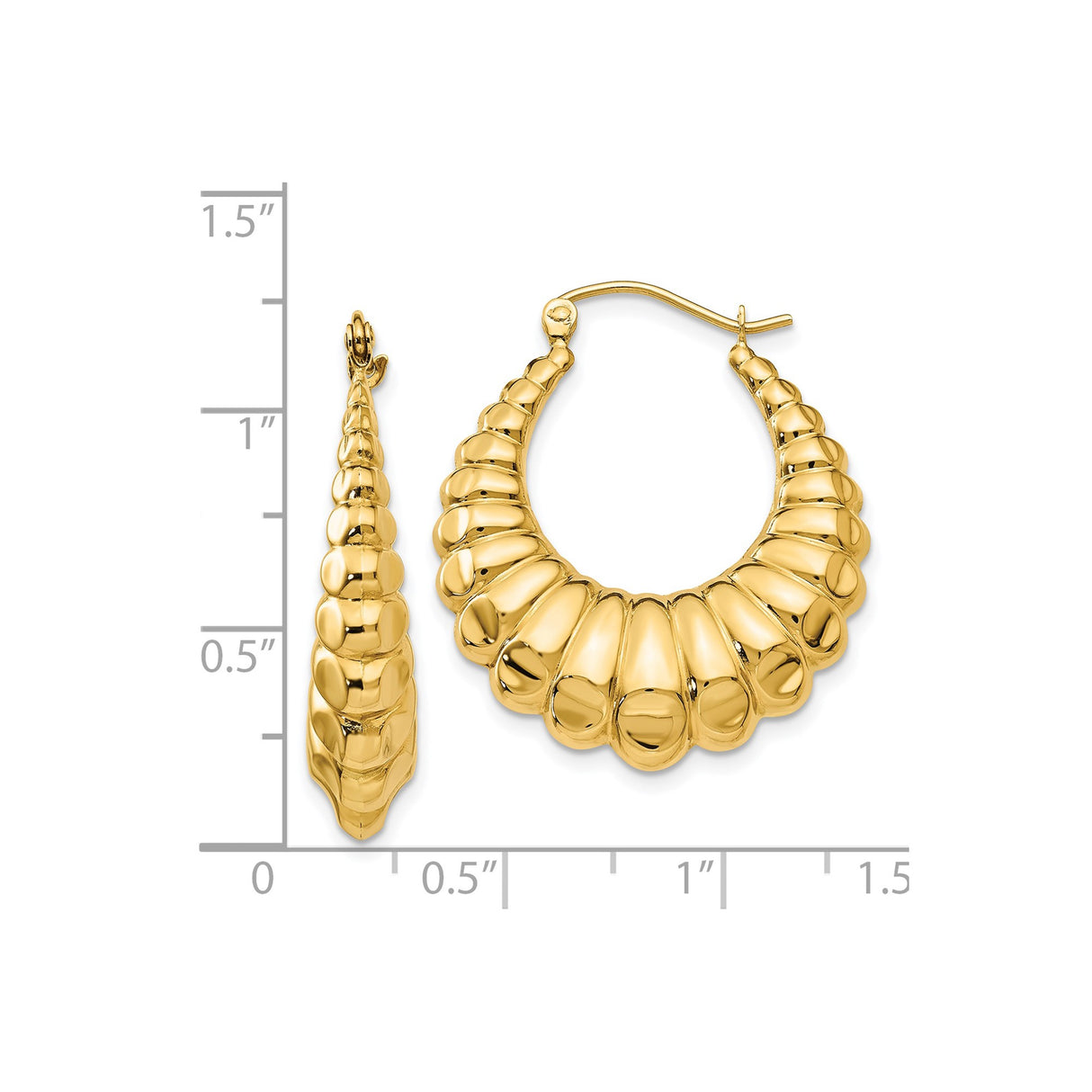 14k Yellow Gold Hoop Earrings, Bold Ribbed Shell Texture, Chunky Graduated Design