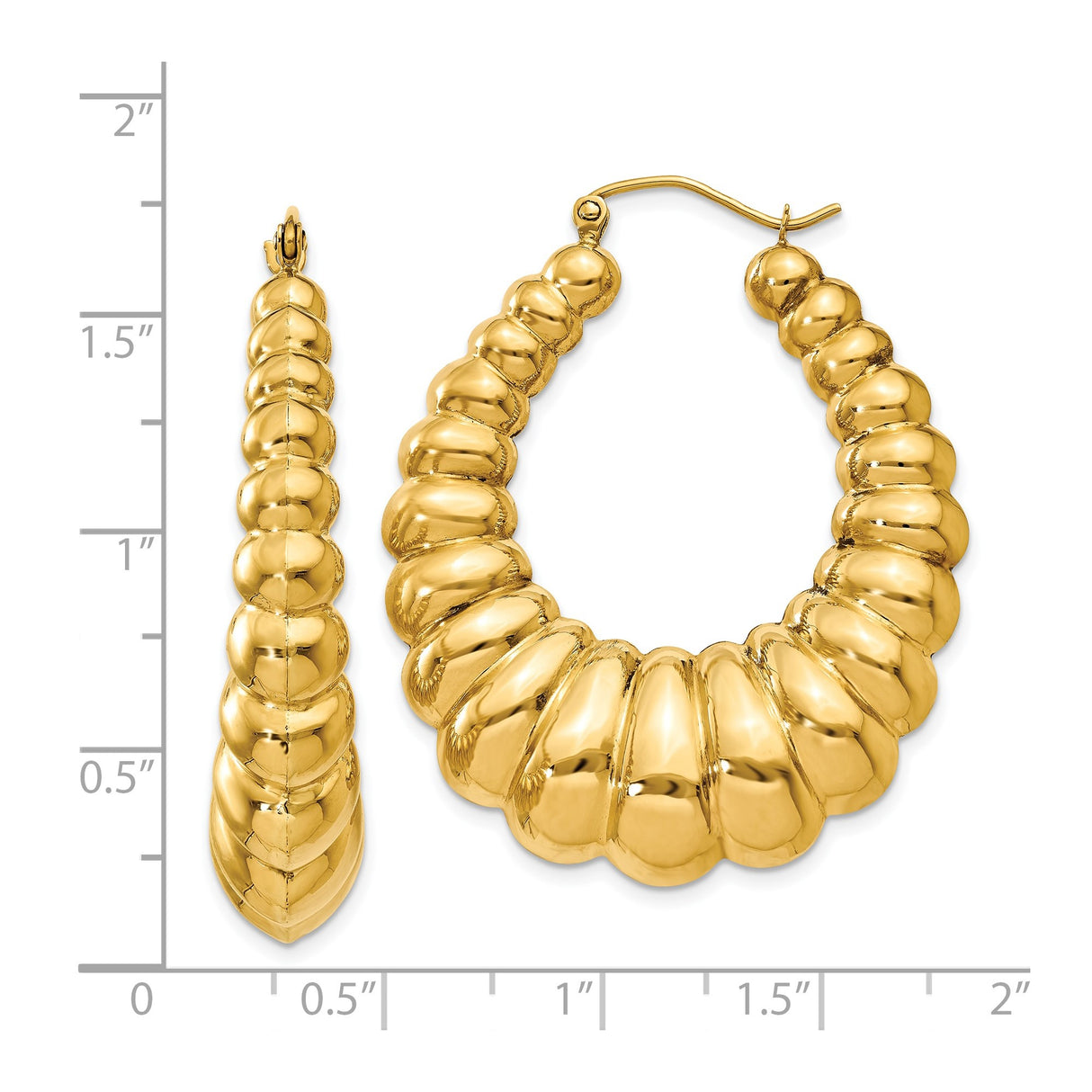 14k Yellow Gold Hoop Earrings, Puffed Scalloped Shrimp Style, Polished Chunky Medium Size