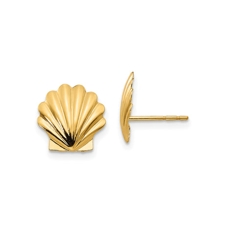 14k Yellow Gold Seashell Stud Earrings, Scallop Shell Coastal Design for Women