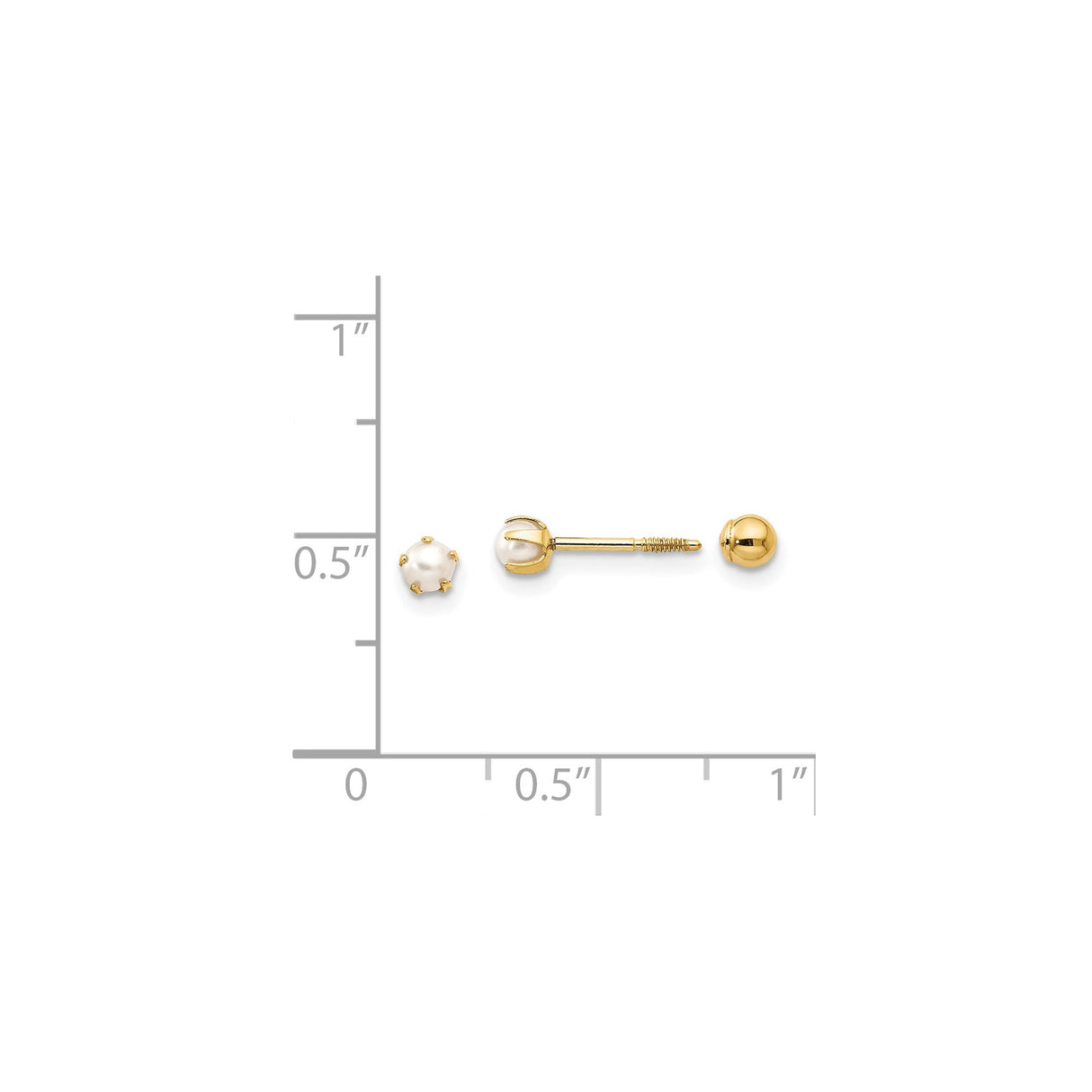 14k Yellow Gold Stud Earrings with White Pearls, Prong Setting, Screw Back