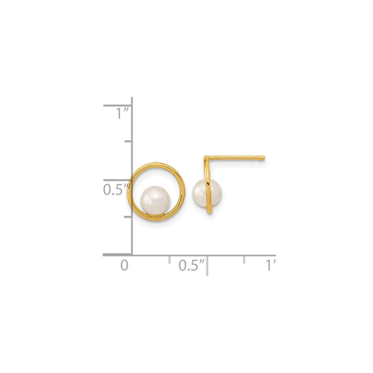 14k Yellow Gold Stud Earrings with White Pearls, Open Circle Design, Minimalist Style