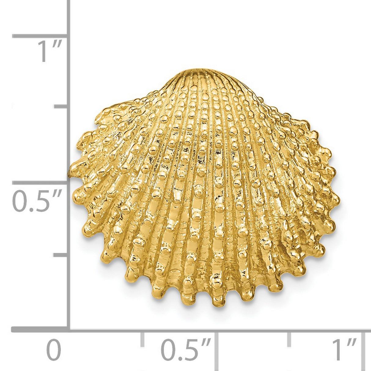 14k Yellow Gold Seashell Pendant, Realistic Scallop Shell Charm, Coastal Nautical Beach Jewelry
