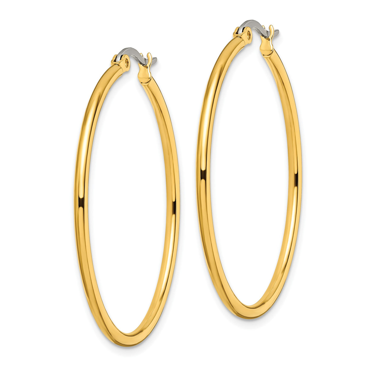 Stainless Steel Hoop Earrings, Gold Tone, Classic Round Polished Design for Women