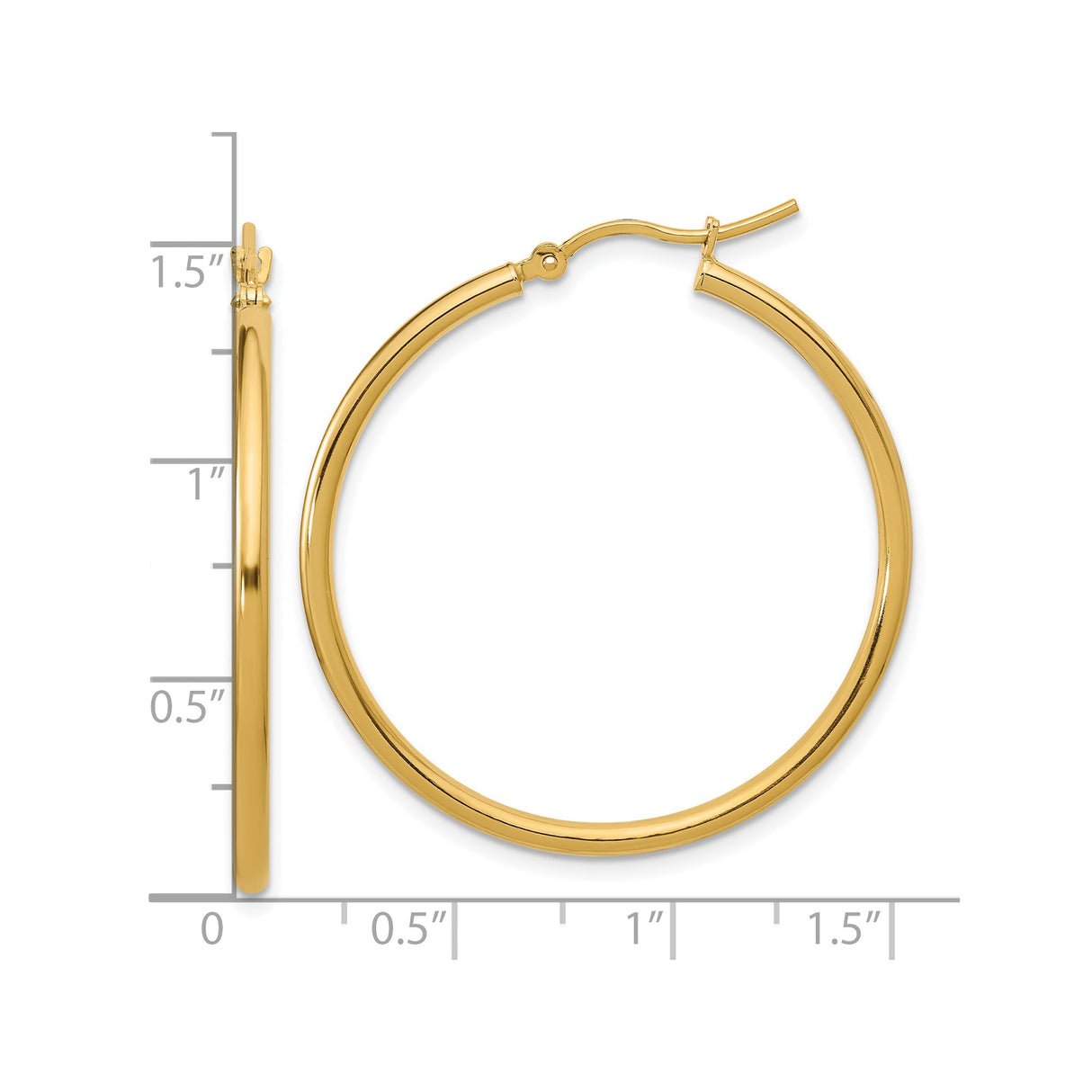10k Yellow Gold Hoop Earrings, Lightweight Polished Round Style, Classic Medium Size for Women