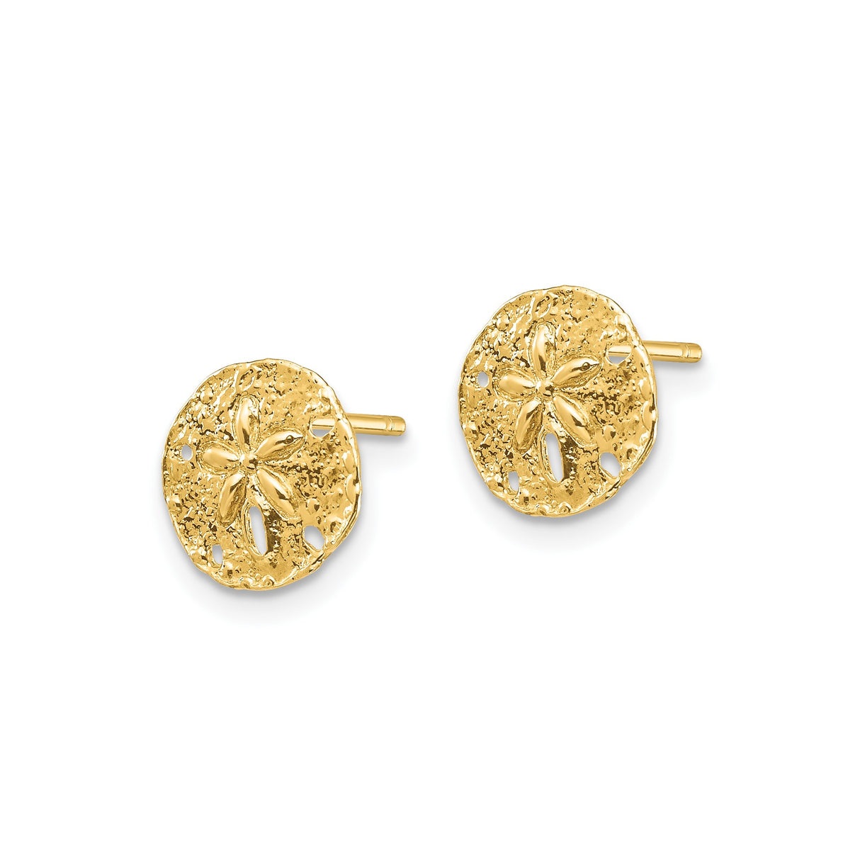 14k Yellow Gold Sand Dollar Stud Earrings with Textured Ocean-Inspired Design for Women
