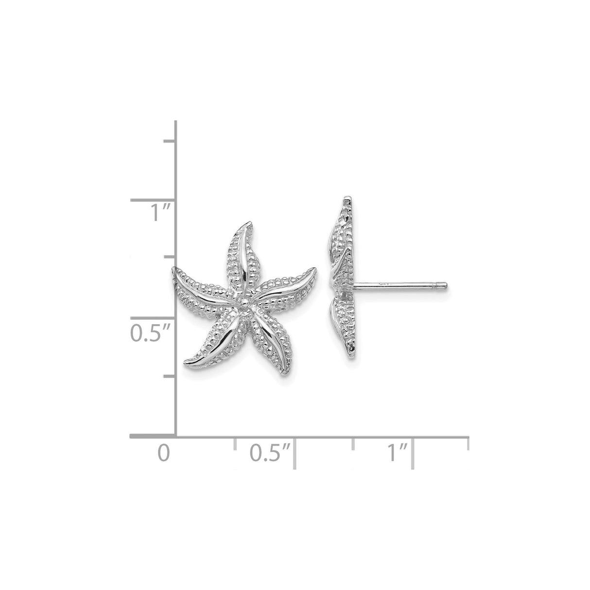 14k White Gold Starfish Stud Earrings, Textured Nautical Design, Beach Theme Jewelry for Women