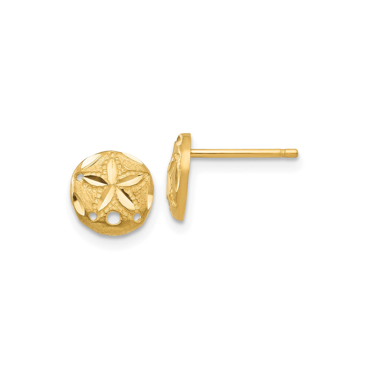 14k Yellow Gold Sand Dollar Stud Earrings with Textured Cutout Coastal Design