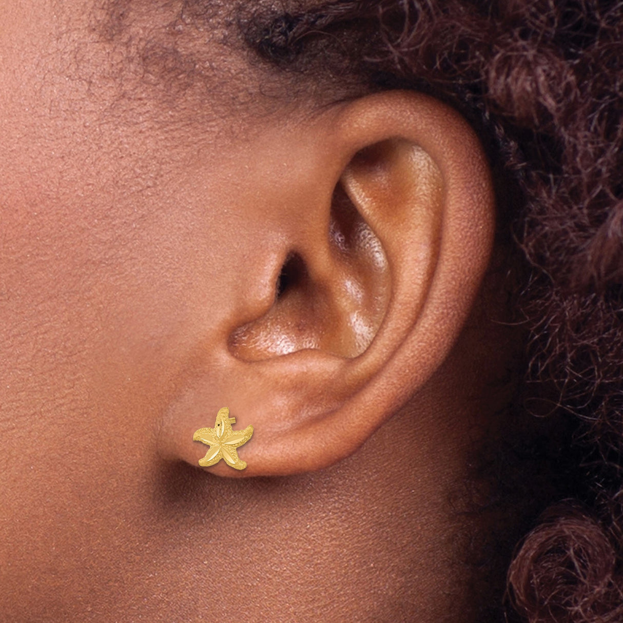 14k Yellow Gold Starfish Stud Earrings, Textured Nautical Design for Women