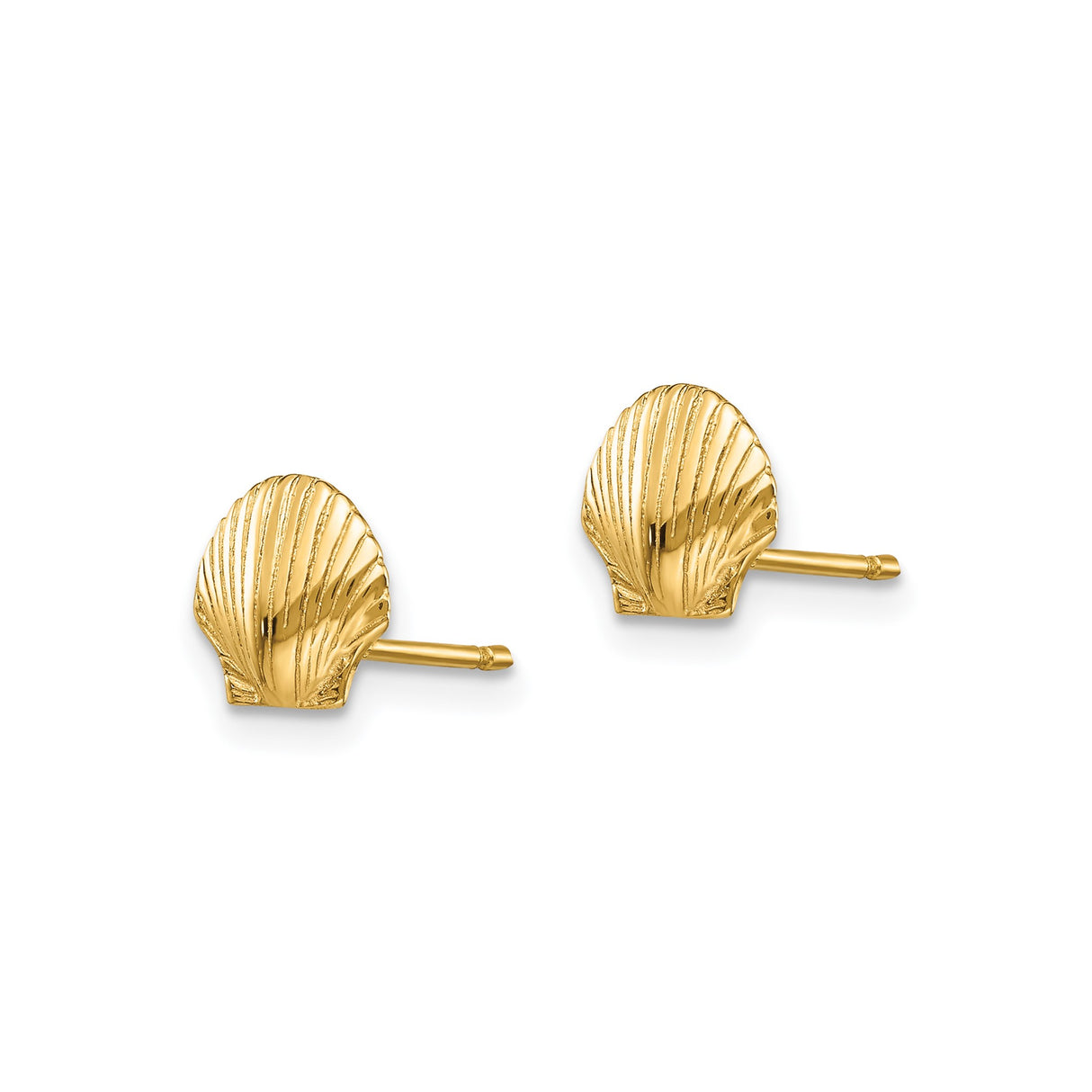 14k Yellow Gold Scallop Shell Stud Earrings, Nautical Ocean-Inspired Design for Women