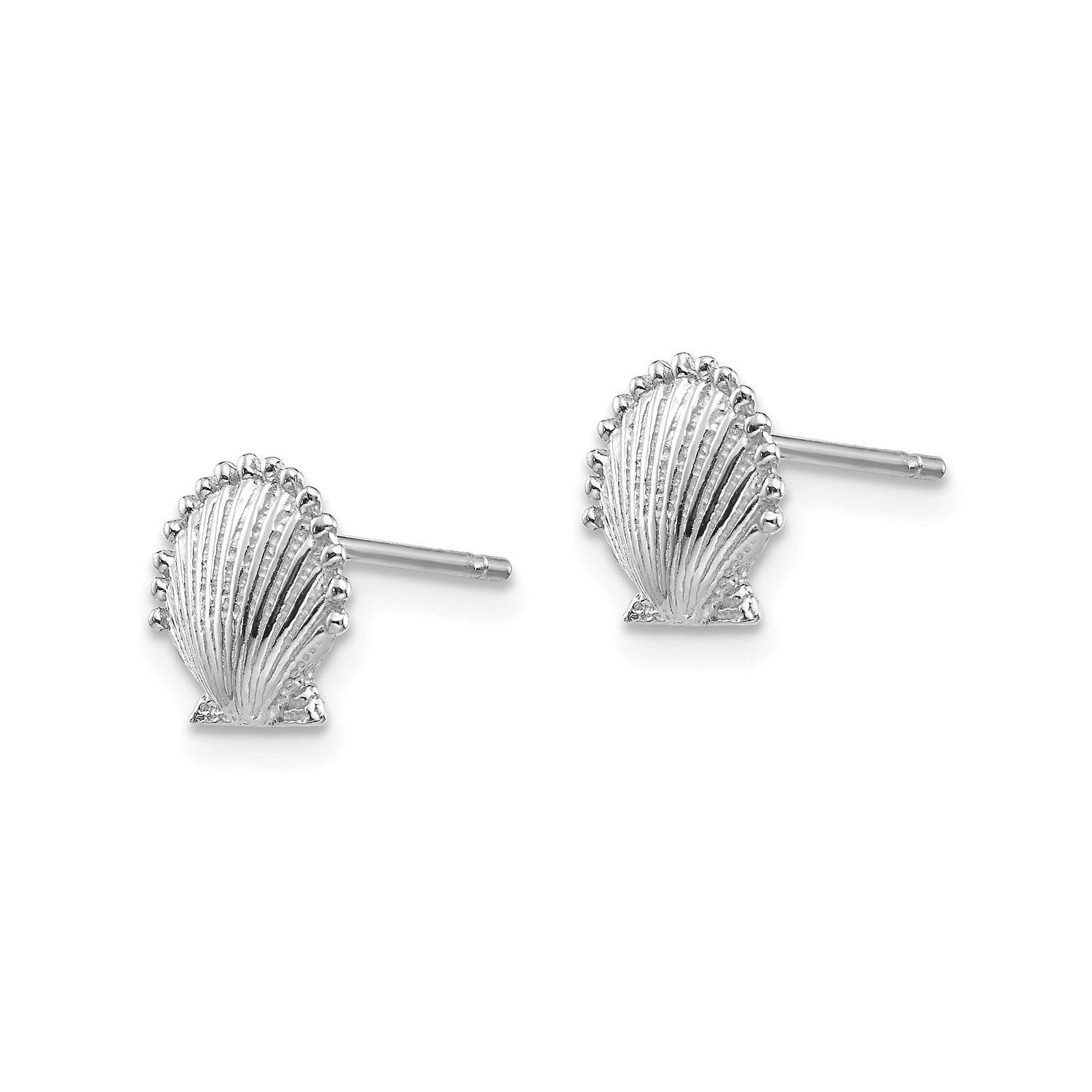 14k White Gold Scallop Shell Stud Earrings, Nautical Coastal Design for Women