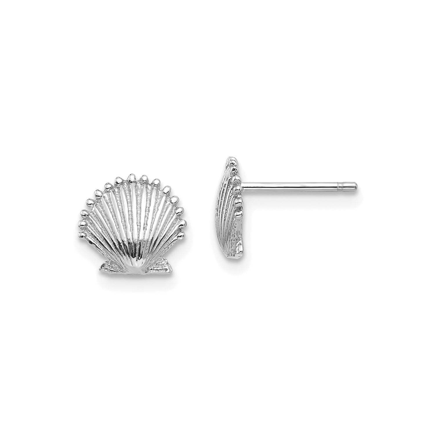 14k White Gold Scallop Shell Stud Earrings, Nautical Coastal Design for Women