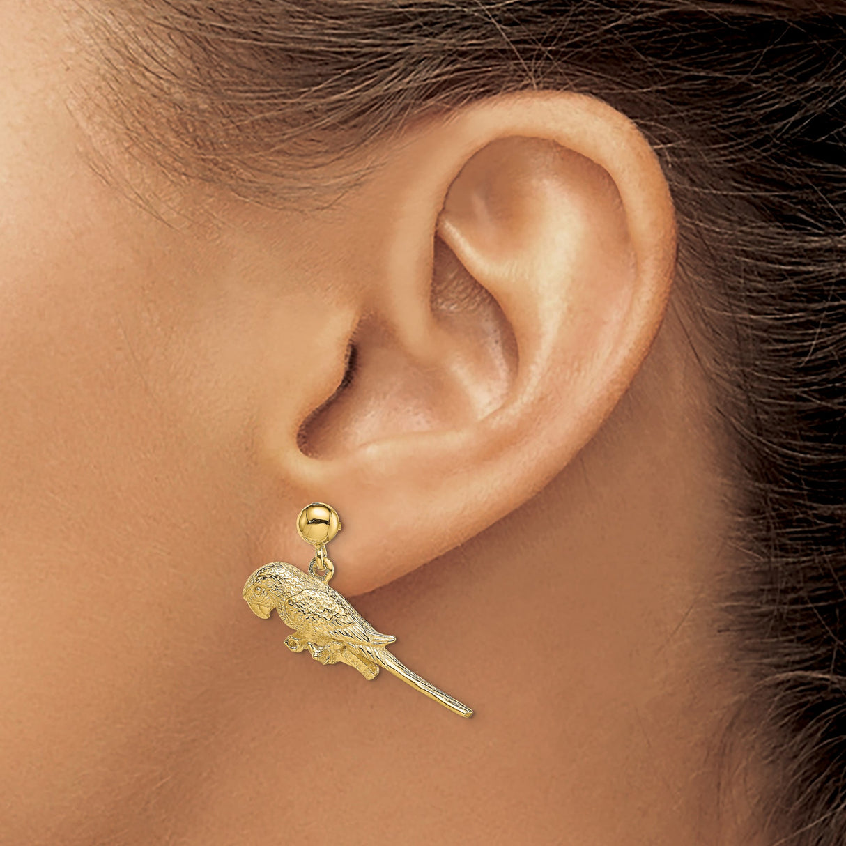14k Yellow Gold Parrot Dangle Earrings, Bird on Branch Design, Tropical Nature Theme