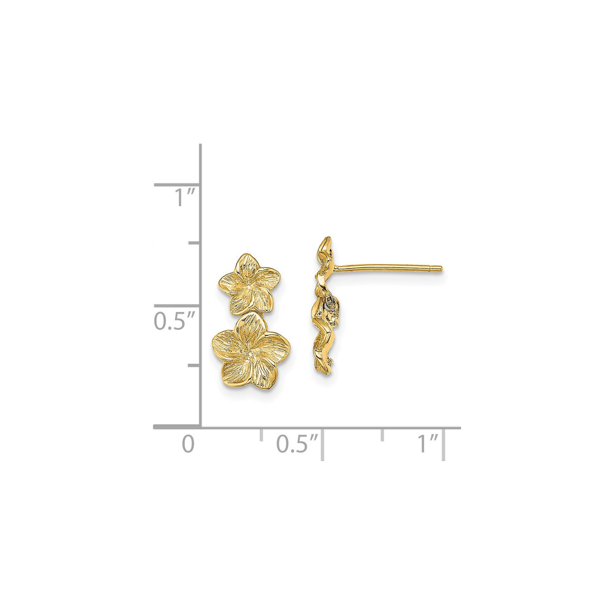 14k Yellow Gold Stud Earrings with Double Plumeria Flowers, Tropical Floral Design