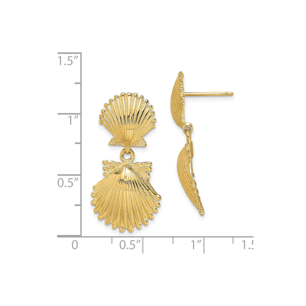 14k Yellow Gold Dangle Earrings with Double Scallop Shells, Textured Nautical Ocean Design