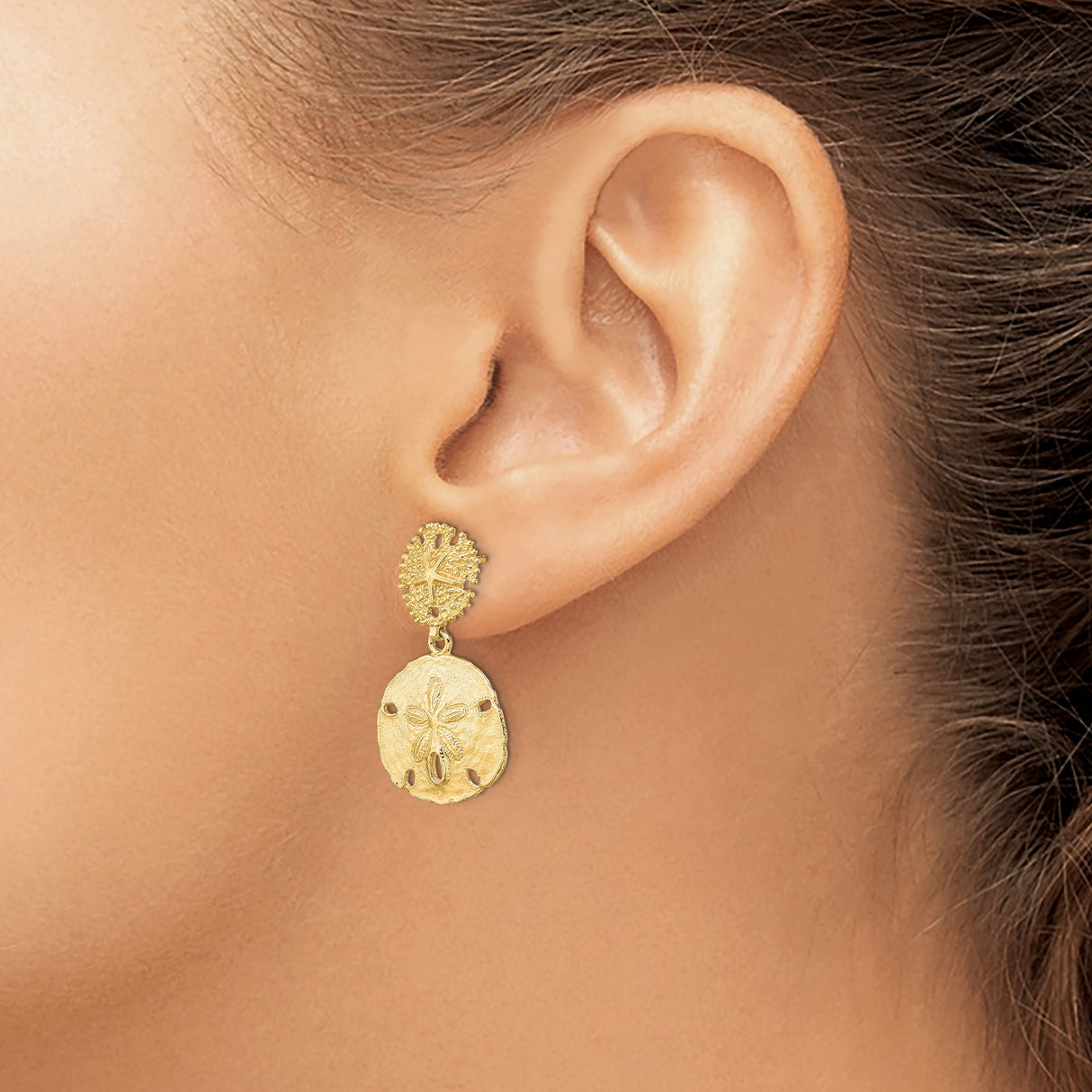 14k Yellow Gold Sand Dollar Drop Earrings, Ocean Motif Nautical Style for Women