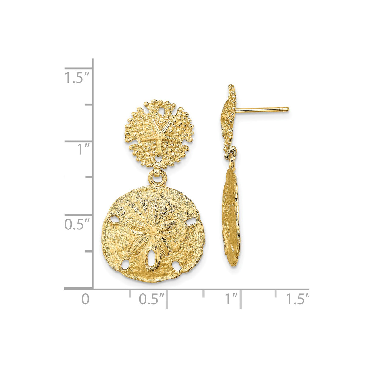 14k Yellow Gold Sand Dollar Drop Earrings, Ocean Motif Nautical Style for Women