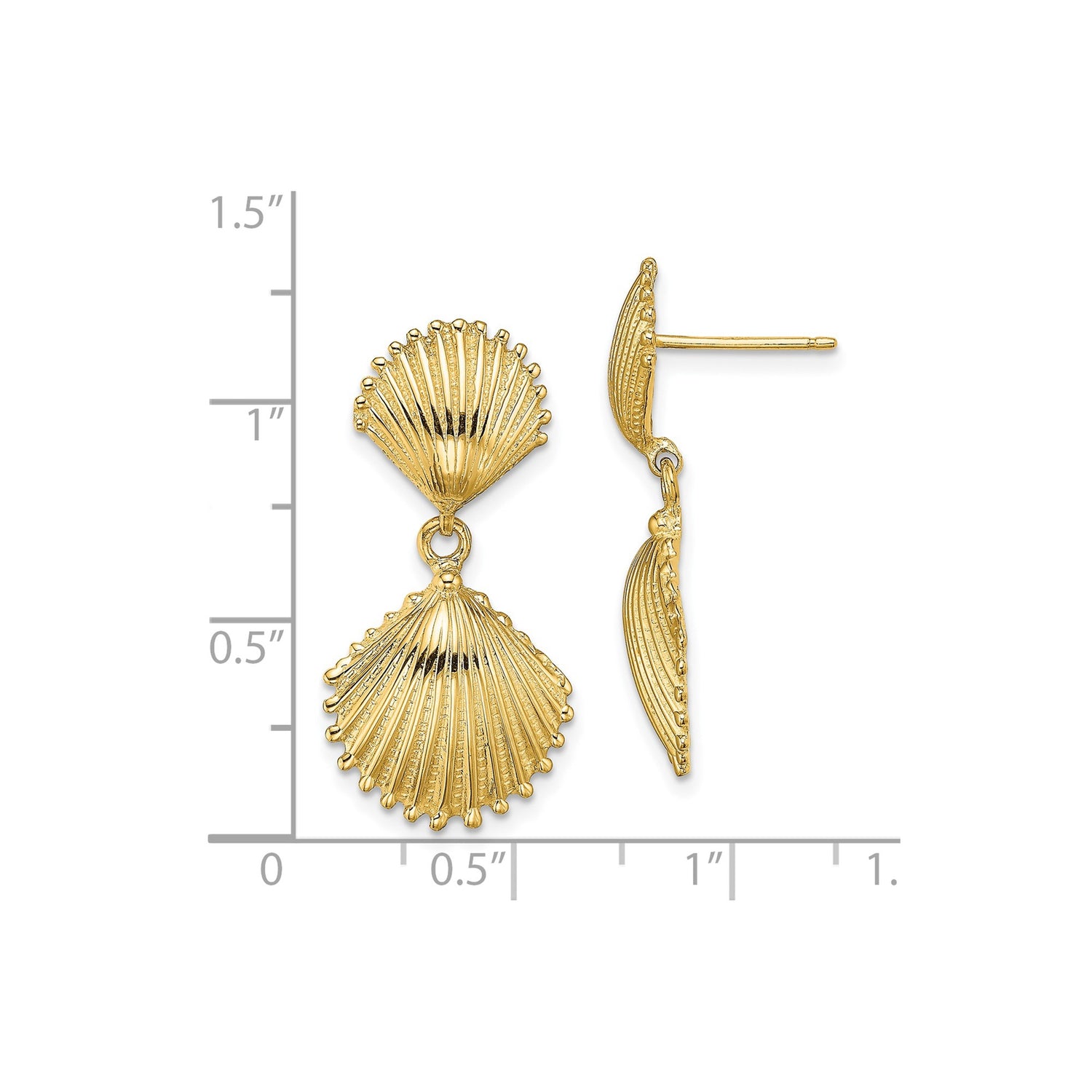 14k Yellow Gold Dangle Earrings with Double Scallop Shell Design, Coastal Theme Jewelry for Women