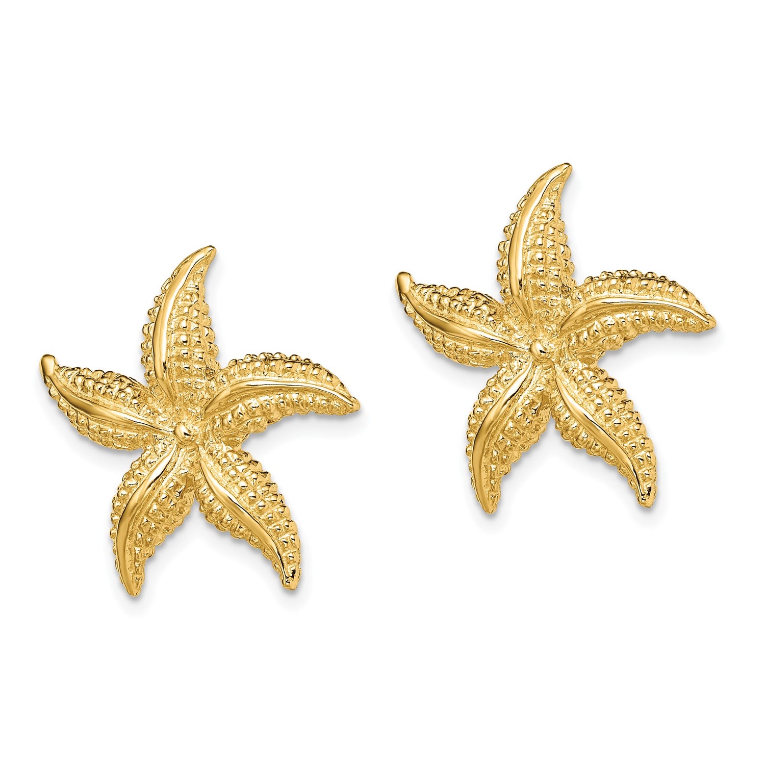 14k Yellow Gold Starfish Stud Earrings, Textured Marine Life Nautical Design for Women