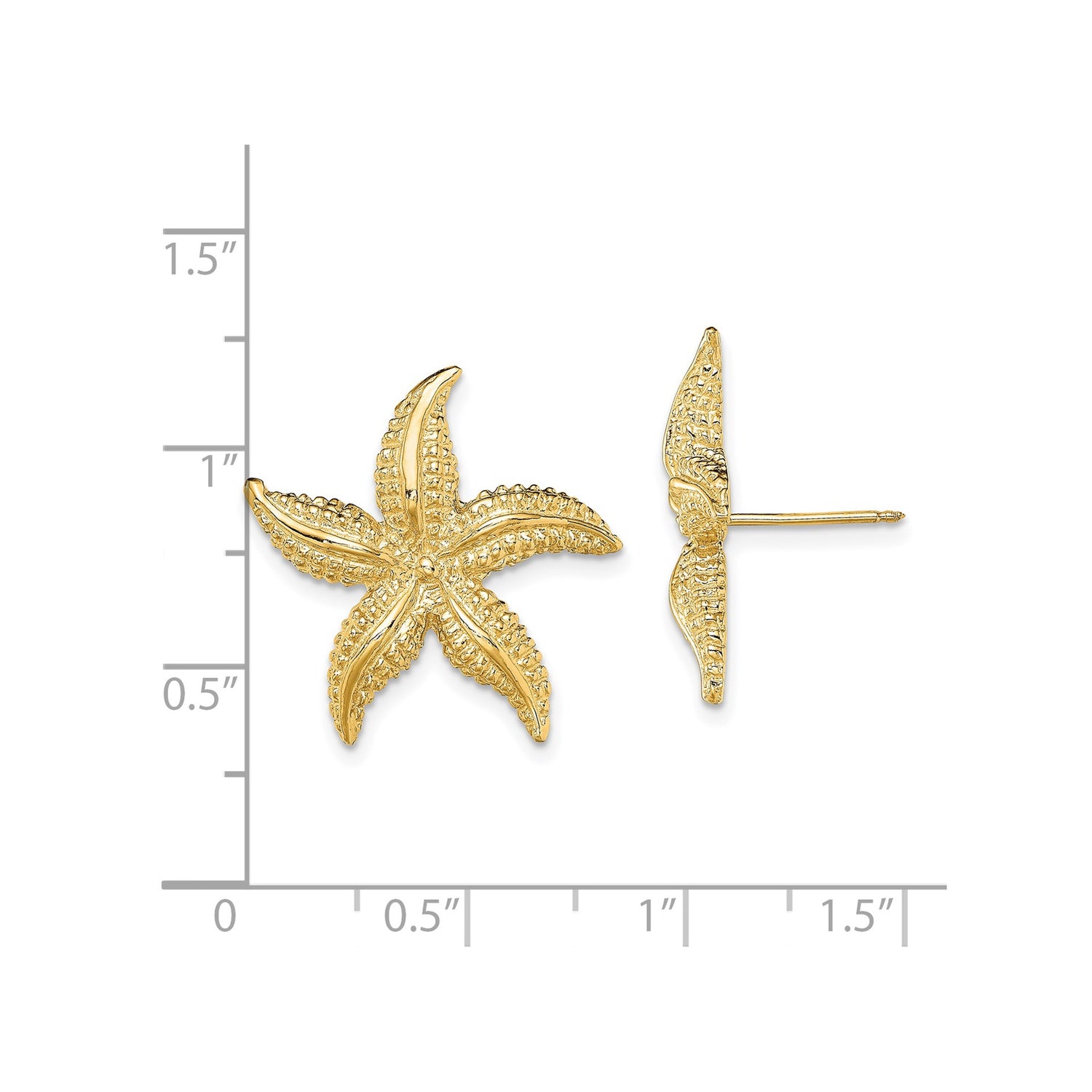 14k Yellow Gold Starfish Stud Earrings, Textured Marine Life Nautical Design for Women