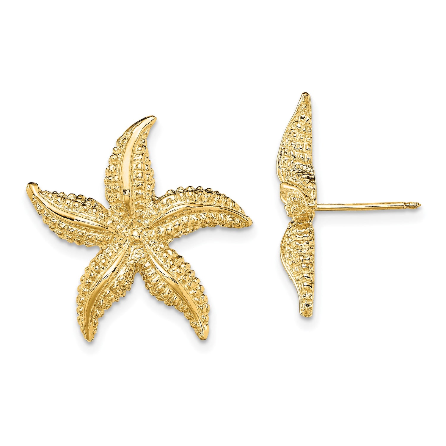 14k Yellow Gold Starfish Stud Earrings, Textured Marine Life Nautical Design for Women