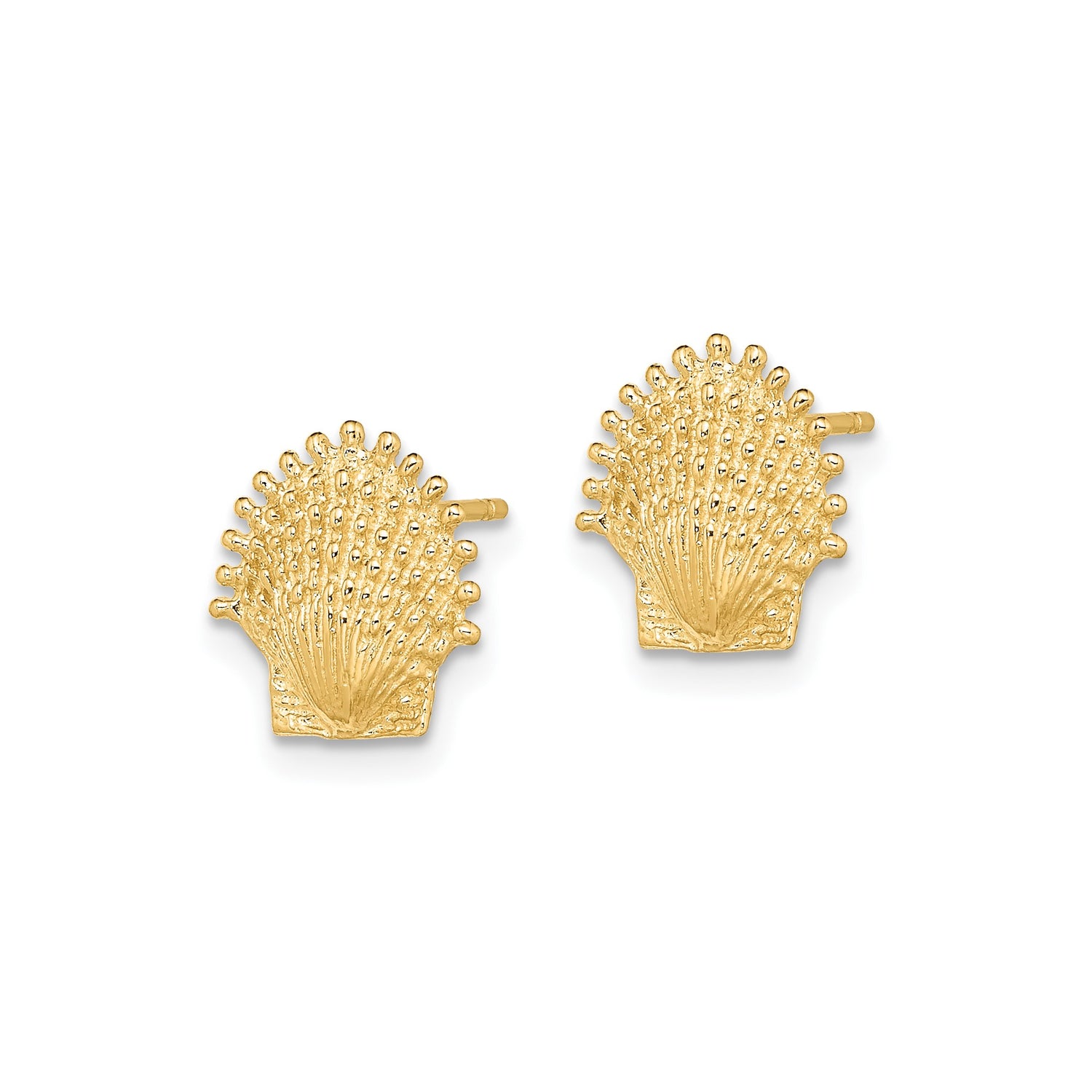 14k Yellow Gold Scallop Shell Stud Earrings, Textured Coastal Nautical Style for Women