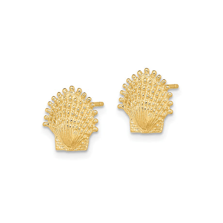 14k Yellow Gold Scallop Shell Stud Earrings, Textured Coastal Nautical Style for Women