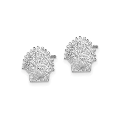 14k White Gold Seashell Stud Earrings, Scallop Shell Nautical Coastal Design for Women