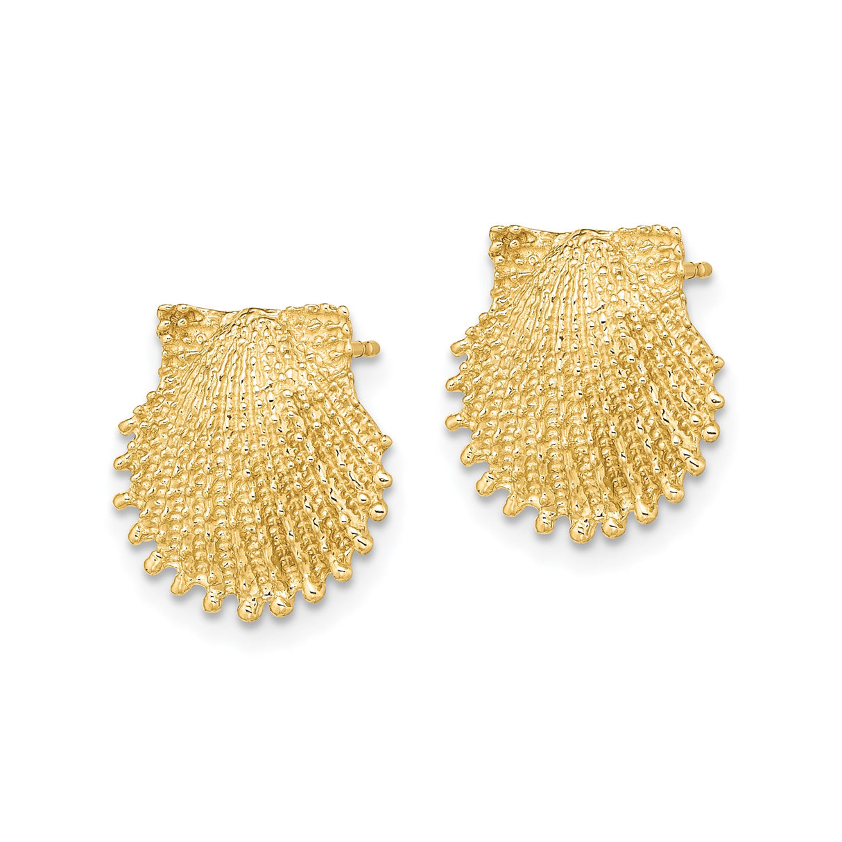 14k Yellow Gold Scallop Shell Stud Earrings, Textured Nautical Coastal Style Jewelry for Women