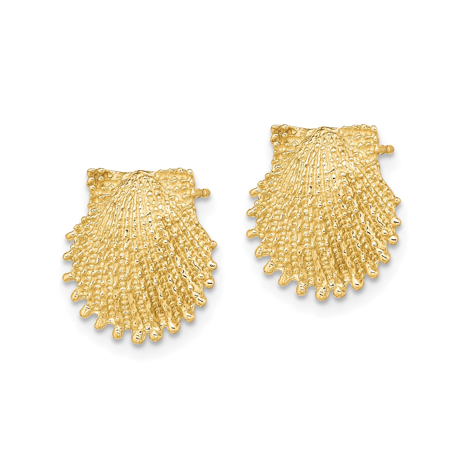 14k Yellow Gold Scallop Shell Stud Earrings, Textured Nautical Coastal Style Jewelry for Women