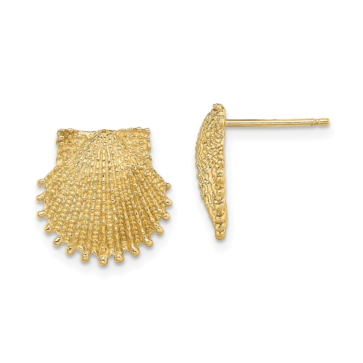 14k Yellow Gold Scallop Shell Stud Earrings, Textured Nautical Coastal Style Jewelry for Women