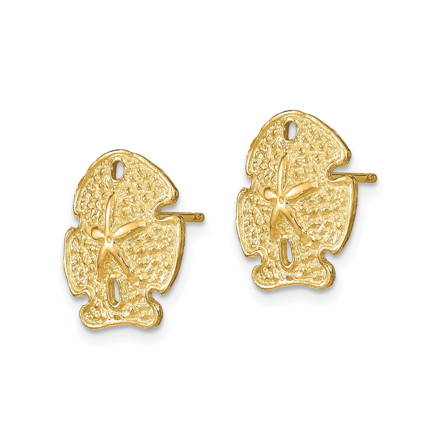 14k Yellow Gold Sand Dollar Stud Earrings, Nautical Coastal Theme for Women